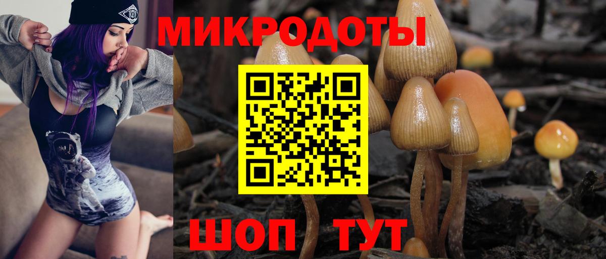 Хабаровск  Галлюциногенные грибы прущие грибы  Галлюциногенные грибы GOLDEN TEACHER  Вход с VPN 