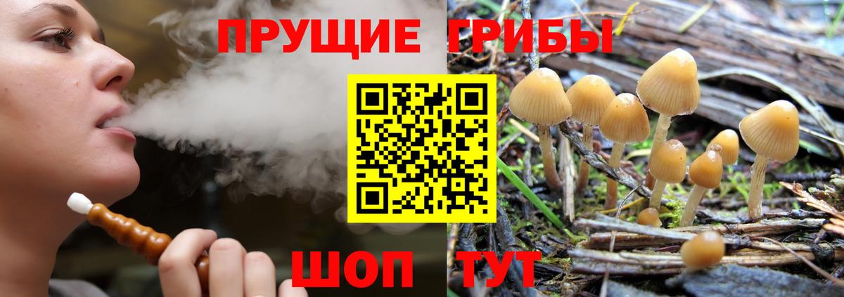 Галлюциногенные грибы Cubensis Хабаровск